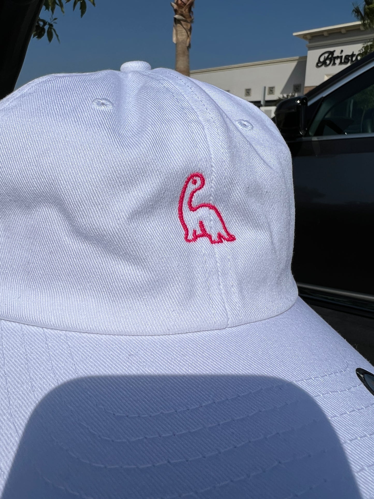 Dinosaur EMBROIDERY Cotton CAP / White