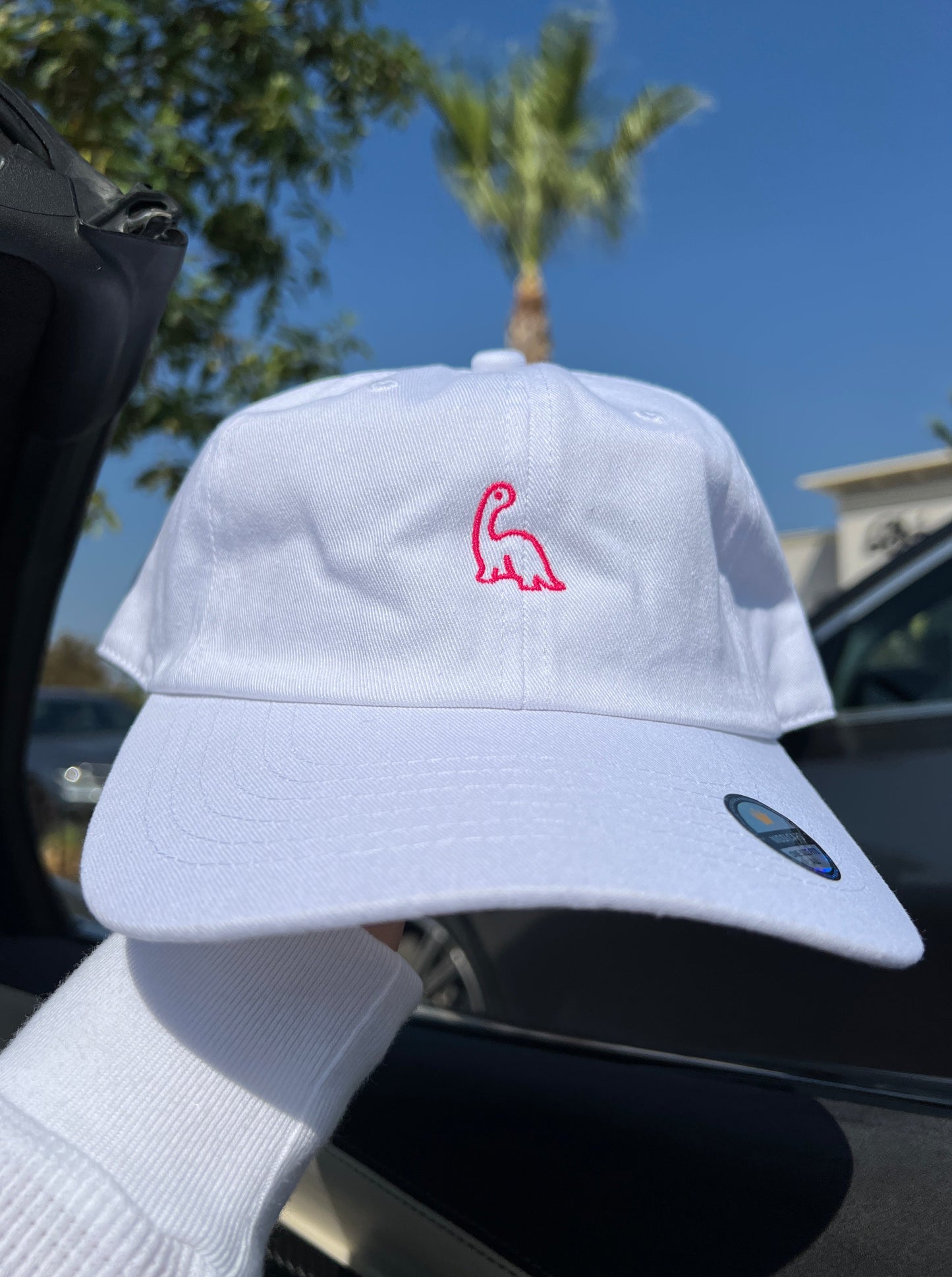 Dinosaur EMBROIDERY Cotton CAP / White