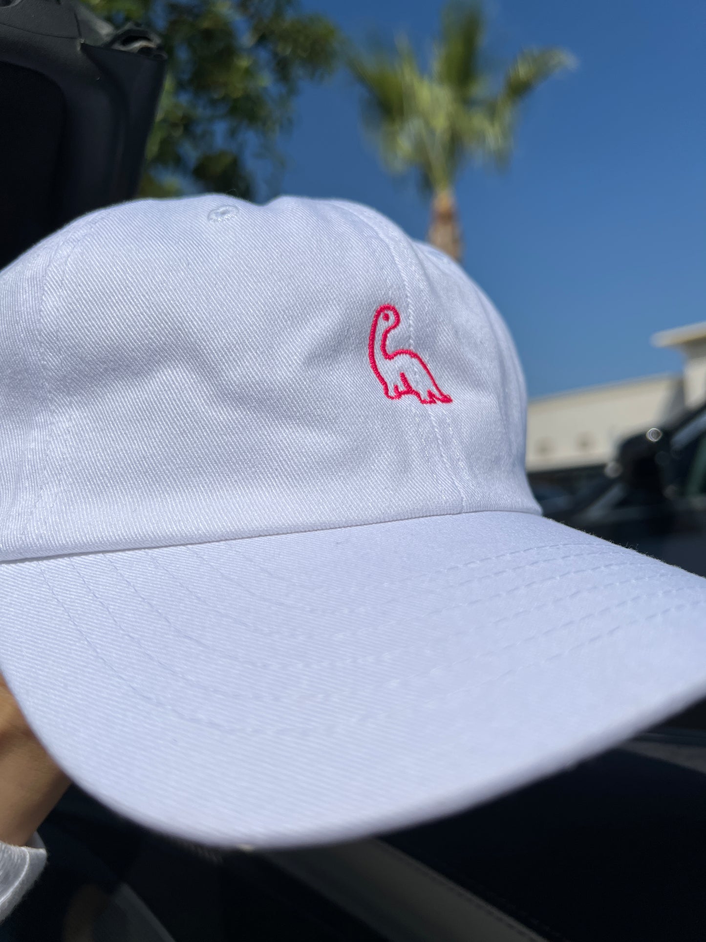 Dinosaur EMBROIDERY Cotton CAP / White