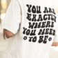 You Are Exactly where you Need To Be / T-shirt Unisex Heavy Cotton Tee / Light Colors