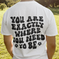 You Are Exactly where you Need To Be / T-shirt Unisex Heavy Cotton Tee / Light Colors