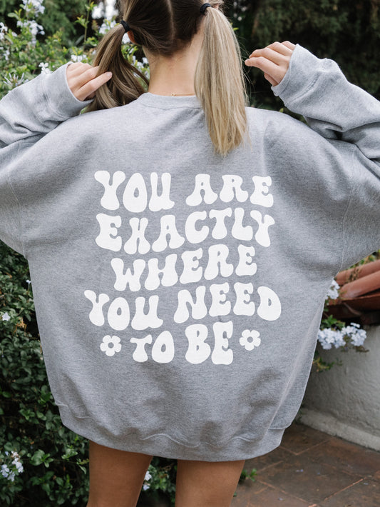 You Are Exactly Where You Need To Be Sweatshirt / Unisex Heavy Blend™ Crewneck Sweatshirt